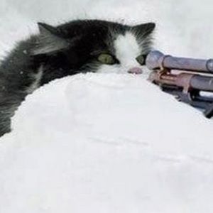 Meet your Posher, Christine